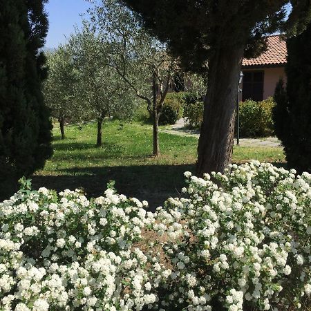Villa Il Principino Country Resort 芬奇 外观 照片