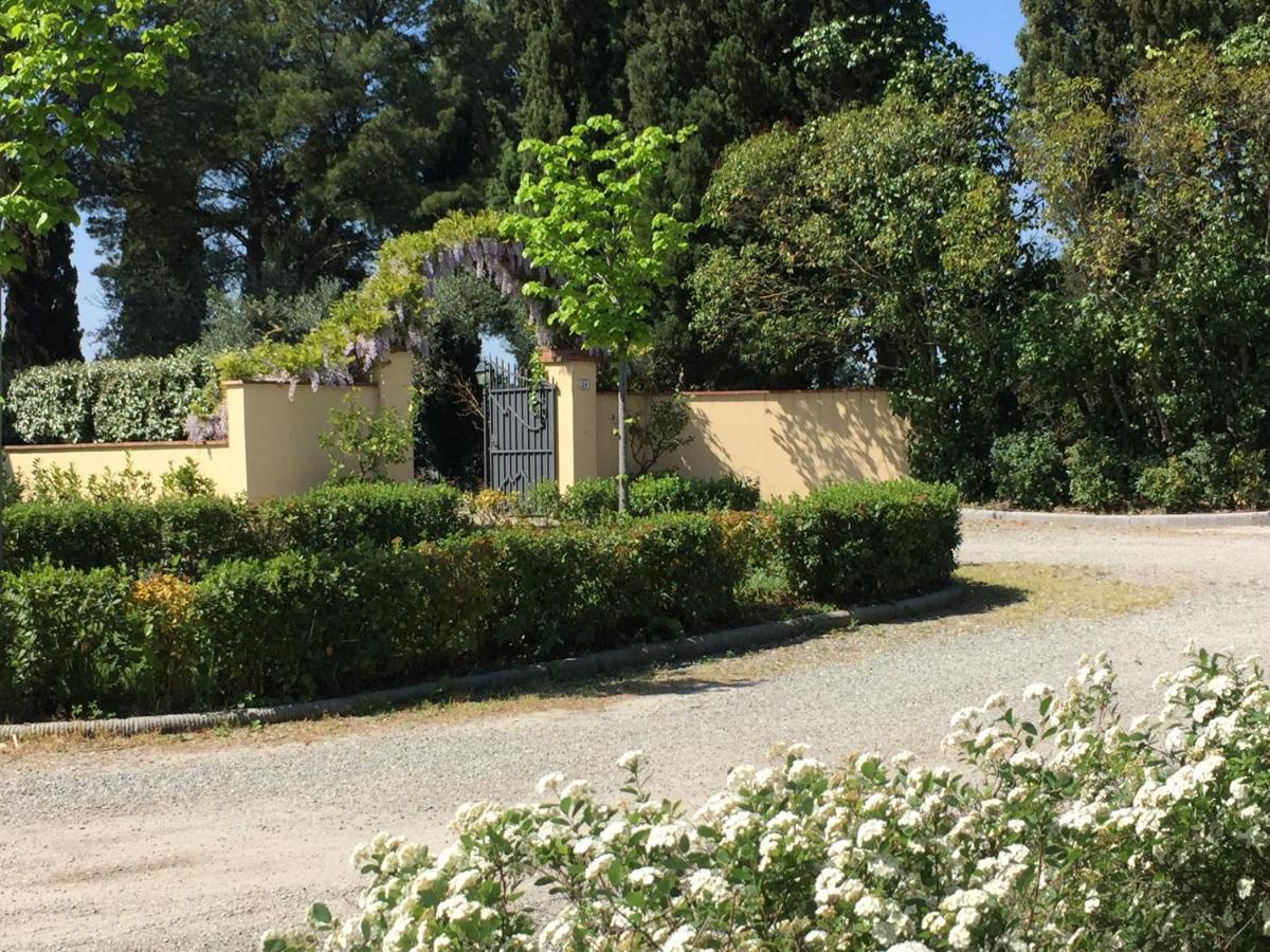 Villa Il Principino Country Resort 芬奇 外观 照片
